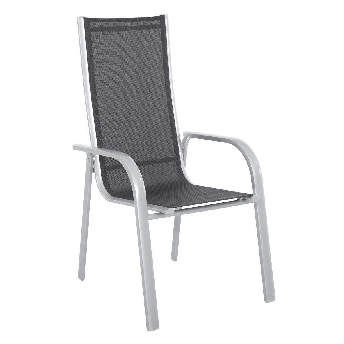 Creador Paola Standard