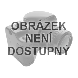 Drtiče